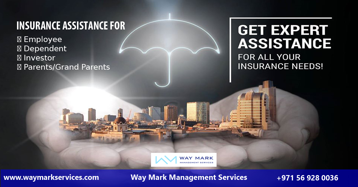 Insurance Consultancy Life, Travel, Medical Insurance Broker Dubai, UAE